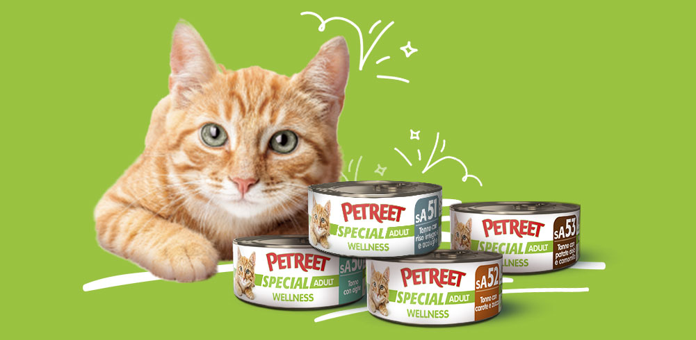 Toielette e lettiere per gatti - Pet Food & More by AnimaliNet.it